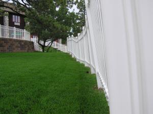 Green, well irrigated lawn in Novato