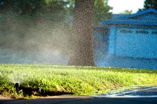 Sprinklers running after a sprinkler repair in Larkspur, CA